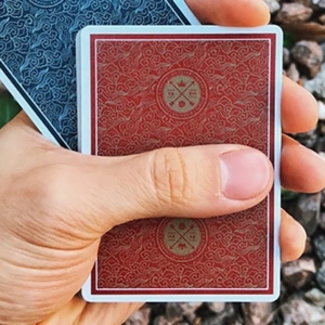 VISA Playing Cards - Red Edition
