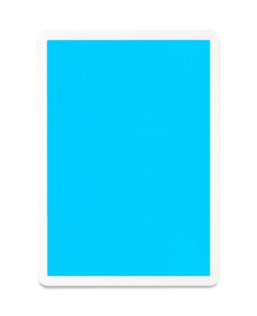Summer NOC - Blue Playing Cards