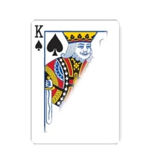 Shin Lim x NOC Playing Cards