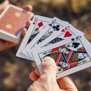 VISA Playing Cards - Red Edition