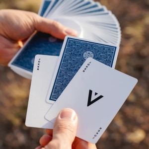 VISA Playing Cards - Blue Edition