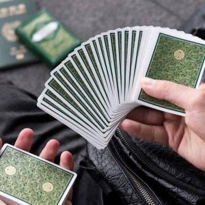 VISA Playing Cards - Green Edition
